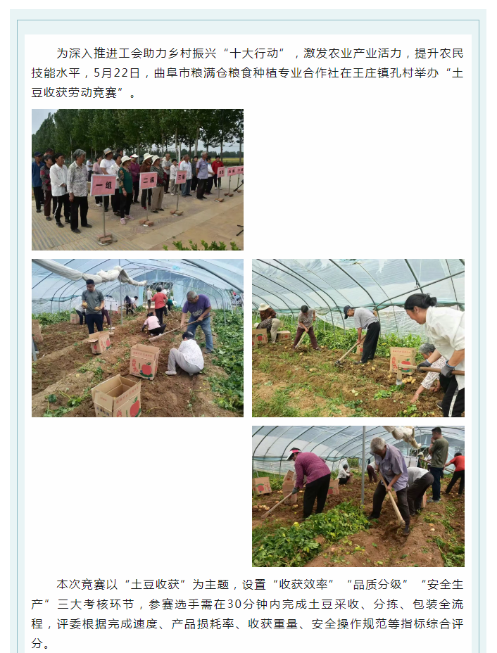 【基層工會(huì)動(dòng)態(tài)】曲阜市糧滿(mǎn)倉(cāng)糧食種植專(zhuān)業(yè)合作社土豆收獲勞動(dòng)競(jìng)賽圓滿(mǎn)舉行